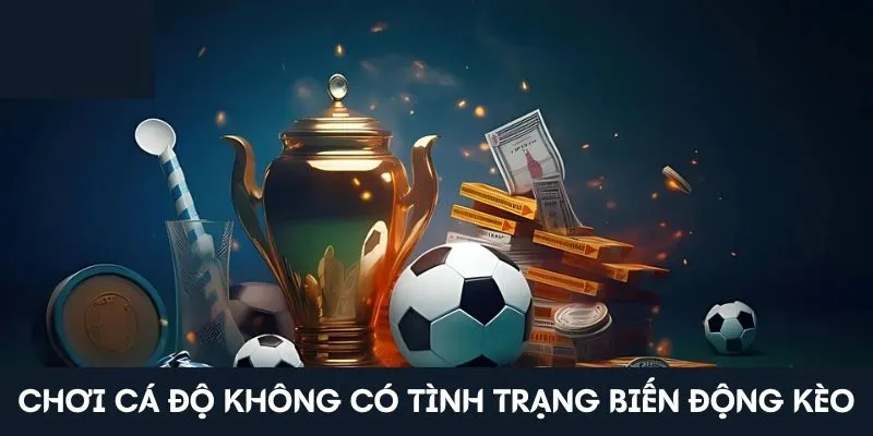 Chơi cá độ không có tình trạng biến động kèo