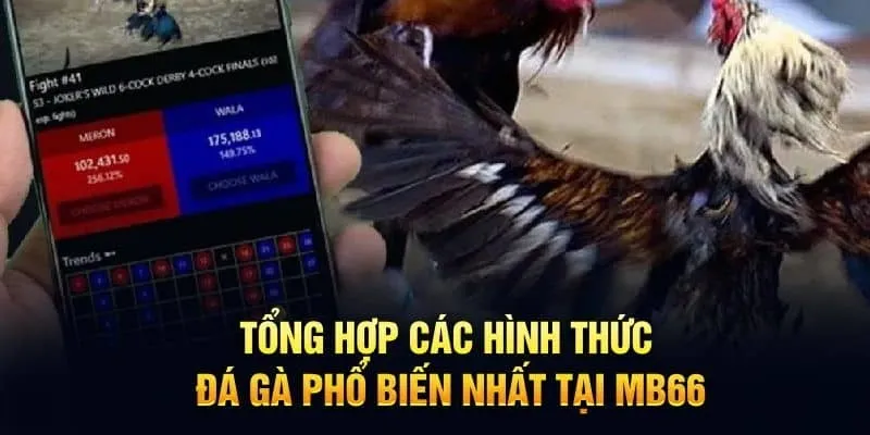 Đa dạng loại hình cho hội viên lựa chọn, tham gia mỗi ngày