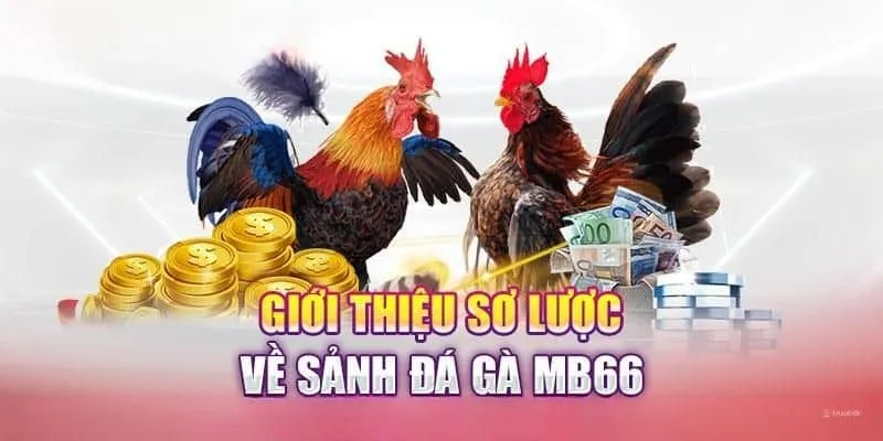 Đá gà MB66 là điểm đến lý tưởng cho các kê thủ muốn giải trí 