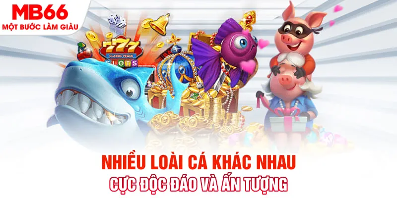 Nhiều loài cá khác nhau cực độc đáo và ấn tượng